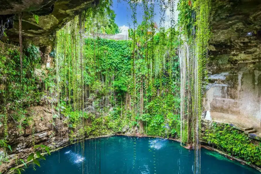 Fotografía de Chac Mool Cenote Sanctuary